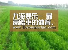 种植基地四