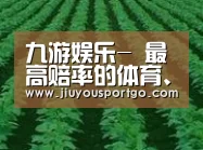 种植基地六