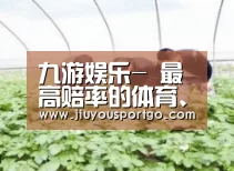 种植基地三