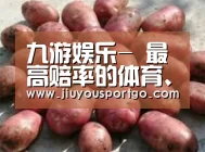 产品展示标题5(图1)