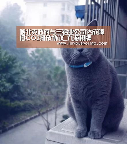 九游棋牌官网