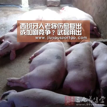 九游棋牌