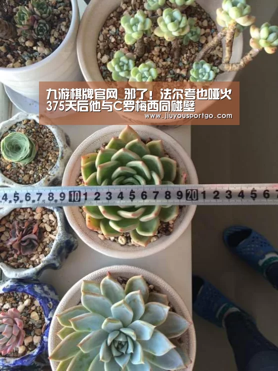 九游棋牌官网_邪了！法尔考也哑火375天后他与C罗梅西同碰壁(图1)