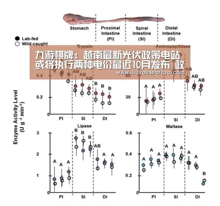 九樂棋牌官网