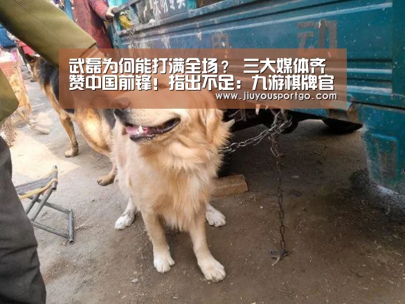 九樂棋牌官网