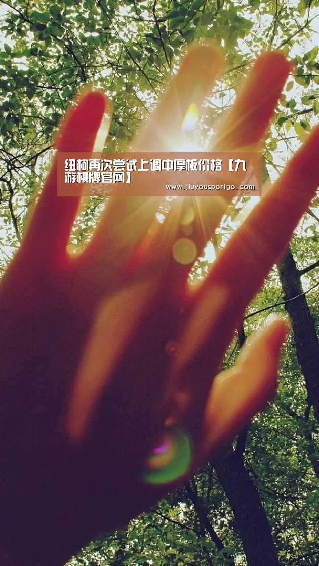 纽柯再次尝试上调中厚板价格【九游棋牌官网】(图3) 纽柯再次尝试上调中厚板价格【九游棋牌官网】(图3)